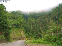 Дорога в сельву1